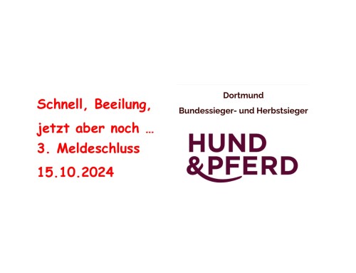 Bundessieger 09.11.2024